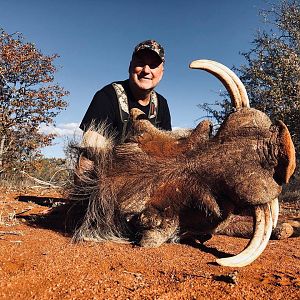 Hunting Warthog in South Africa