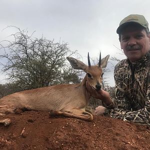 Bow Hunting Steenbok in South Africa