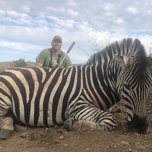 Burchell's Plain Zebra Hunt South Africa