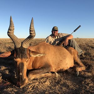 South Africa Hunting Red Hartebeest