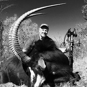 Crossbow Hunting Sable Antelope in South Africa