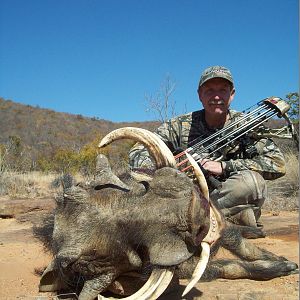 Warthog Bow Hunting South Africa