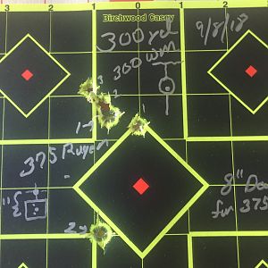 Ruger #1 in 300 WM Range Shooting