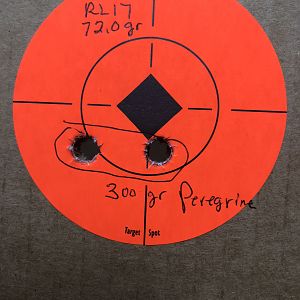 Range Shooting with 300 Gr Peregrine with 72 RL17 (different size orange dots)