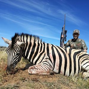 Hunting Burchell's Plain Zebra in South Africa