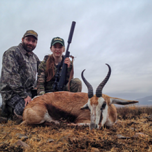 Hunting Springbok South Africa