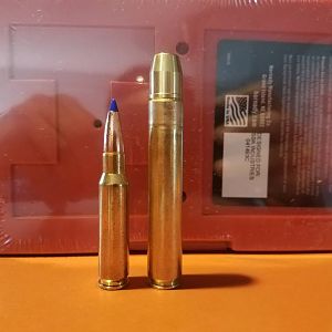 500 MDM Bullet