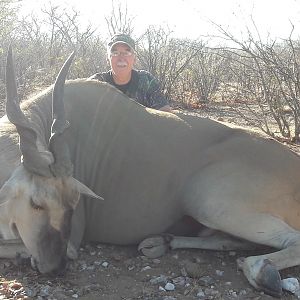 36 inch Cape Eland Namibia