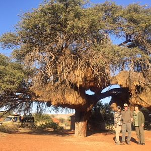 Hunting in South Africa