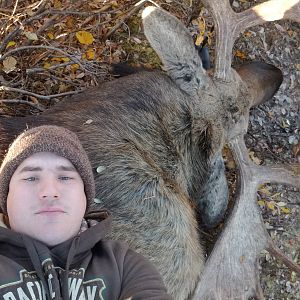 Moose Hunt USA