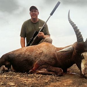 South Africa Hunt Blesbok