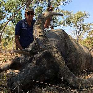Hunting Asiatic Water Buffalo In The Northern Territory Of Australia