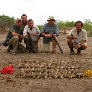 Kenya Sandgrouse Shooting