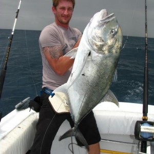 Giant Trevally Kingfish Malindi Kenya