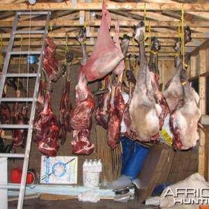 Meat Shed is Full