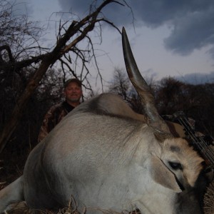 Eland bowhunt in South Africa