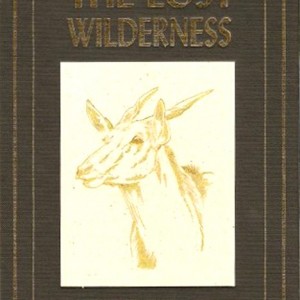 The Lost Wilderness by Mohamed Ismail and Alice Pianfetti