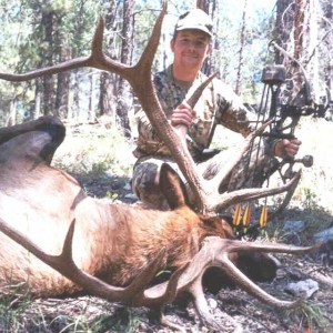 Bowhunting Elk in New Mexico