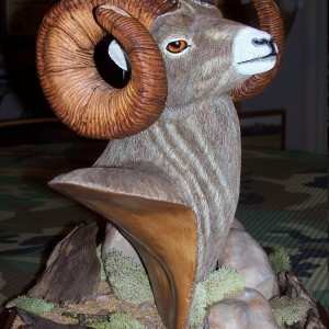 Big Horn Sheep Wood Carving