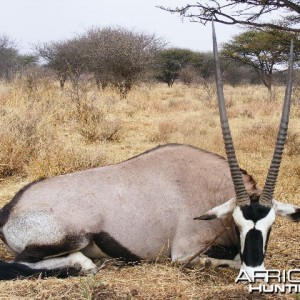 Hunting Gemsbok in Namibia