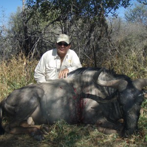 Hunting Gnu in Namibia