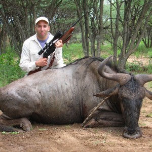 Hunting Wildebeest in Namibia