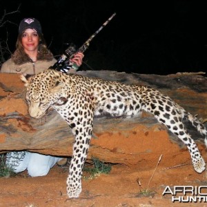 Hunting Leopard in Namibia