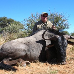 Hunting Wildebeest in Namibia