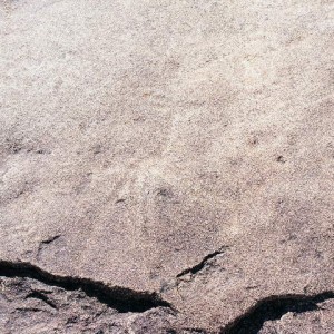 Rock carvings at Ozondjahe Hunting Safaris, Namibia