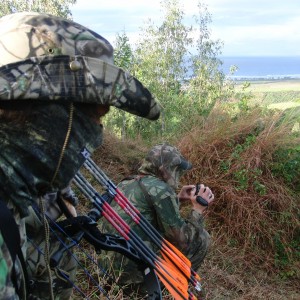 On the stalk in Mauritius with Le Chasseur Mauricien