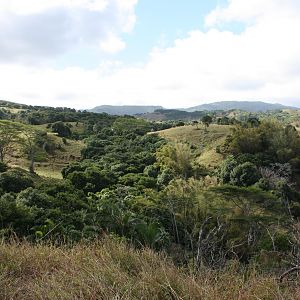 Hunting grounds overlook in Mauritius