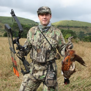 My Pheasant bowhunted in Mauritius with Le Chasseur Mauricien