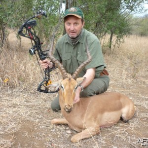 Impala bowhunt in Zimbabwe