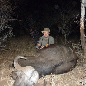 Cape Buffalo bowhunt in Zimbabwe