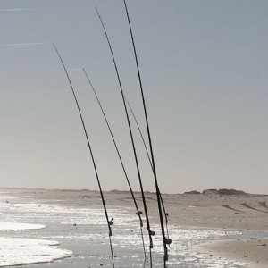 Fishing from the coast