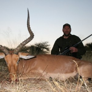 Impala hunt in Namibia