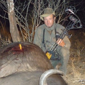 Arrow penetration on Buffalo, Zimbabwe