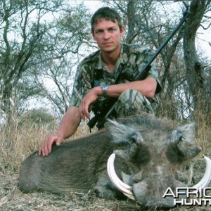 13.25 inch Warthog, Limpopo