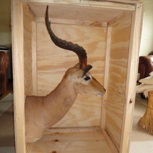 Impala mount crate