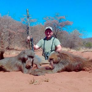 Hunt Baboon South Africa