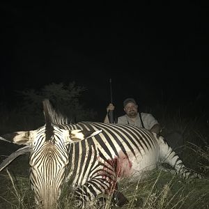 Hartmann's Mountain Zebra Hunting in Namibia