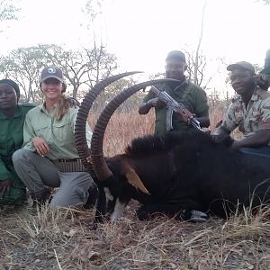 Hunt Sable Antelope Tanzania