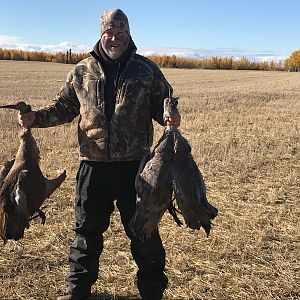 Alaska Hunting Sandhill Crane