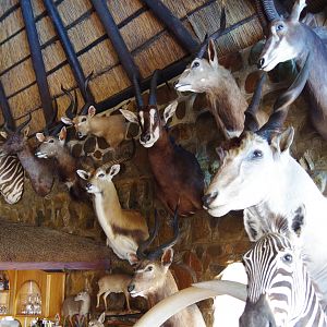 Hunting Lodge South Africa