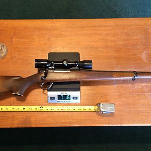 Sako Forester .243 Win. Rifle with Zeiss Diatal C 4x32 and home-shortened stock to 12.5" length of pull