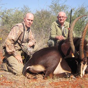 Hunting Sable Antelope South Africa