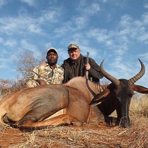 Hunting Tsessebe South Africa