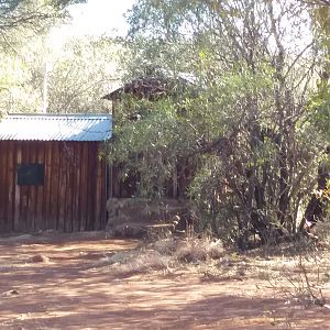 dual level hunting blind