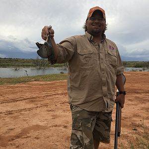 Hunting Doves in Texas USA