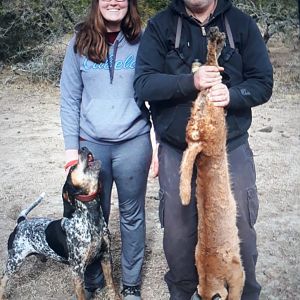 Hunt Caracal in South Africa